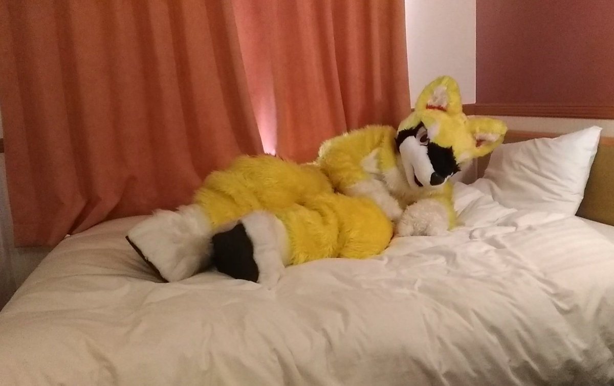 ごろごろん〜🦊🎶 #FursuitEveryday #fursuit