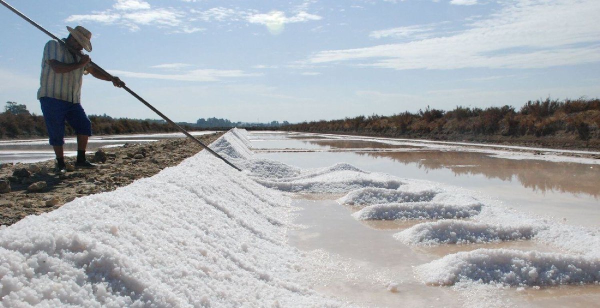 Desde el año 1968, Grupo Asal viene desarrollando su actividad empresarial dentro del sector salinero 🧂️

👉 Tantos años de experiencia nos permiten consolidarnos en el sector como una de las empresas más relevantes.

#SalMarina #GrupoAsal