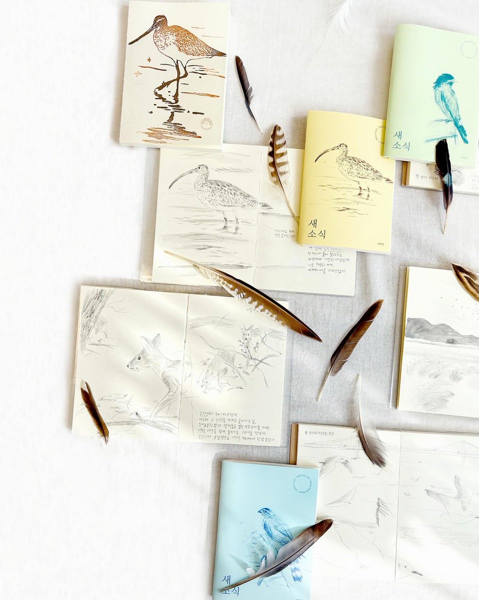 💫전시 <새소식: 기러기가 보낸 계절편지>에서 만날 수 있는것을 매일 차례대로 소개합니다.

🤎종이, 펠트, 자연에서 수집해 만든 기러기떼
🪶생활탐조일기 원본기록 7권과 수집한 깃털들

2025.12.18(목)-20(토) 11:00-18:00
파라다이스 아트랩 워크숍 ( 서울 중구 퇴계로299 파라다이스빌딩 1층)