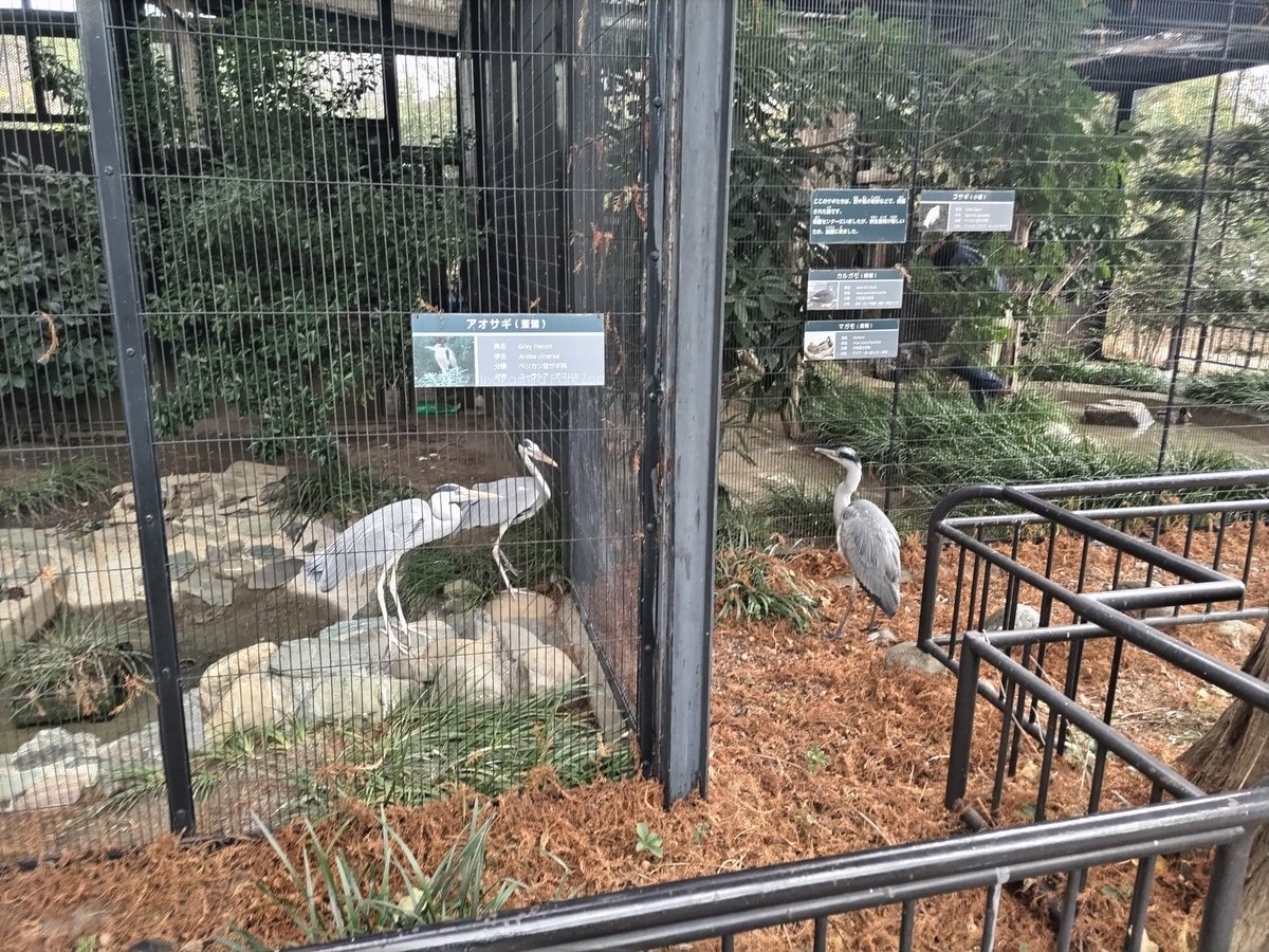 すずらんページ すずらん (@4ma62) / Posts / X