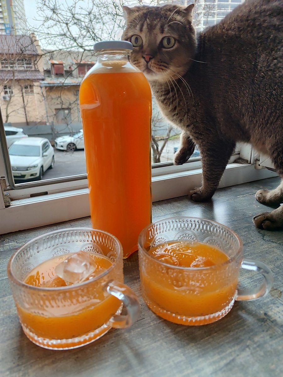 Cadaverine8's tweet photo. Мандариновка удалась, ах, девачки, это слёзы ангела, говорю вам https://t.co/NvRJpjisr4
