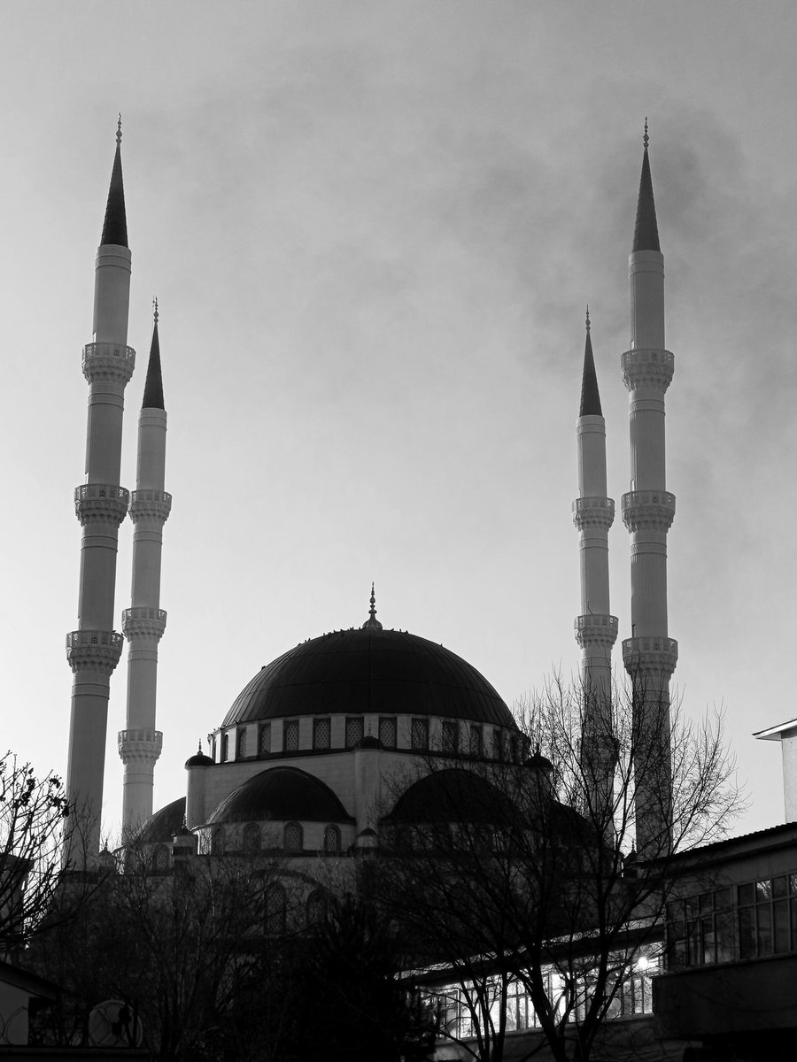 Zeynp_yldrm0's tweet photo. #siyahbeyazchallenge #fotografia #camera #kamera https://t.co/x499FwXiQ0