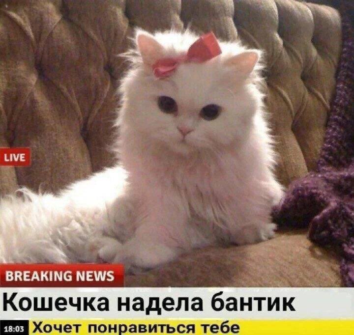 tuckyoy's tweet photo. Да они со стаканом https://t.co/BddlLfW7Jz