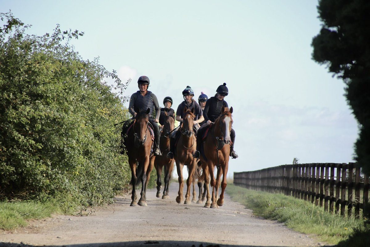 We’re looking for competent riders to join our growing team.
💷Plenty of lots with excellent wages
🫶🏻A great, friendly team
🏇A wide variety of horses across all ages and stages (Both Flat &amp; NH)
🏡On-site accommodation
📧 alice@harrywhittington.co.uk
📞 Harry – 07734 388357