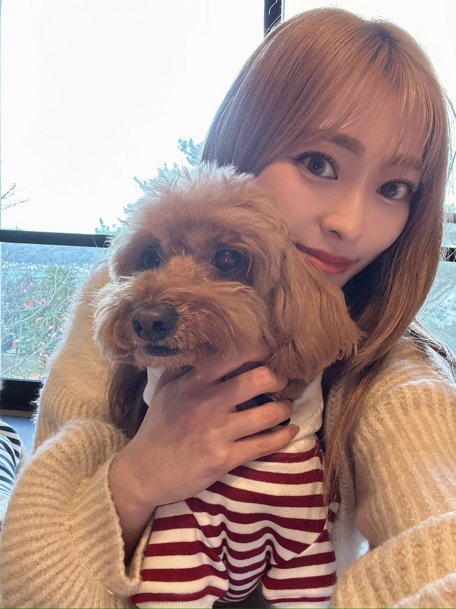 VZONE本部公式アカウント (@Vzone_Official) / Posts / X