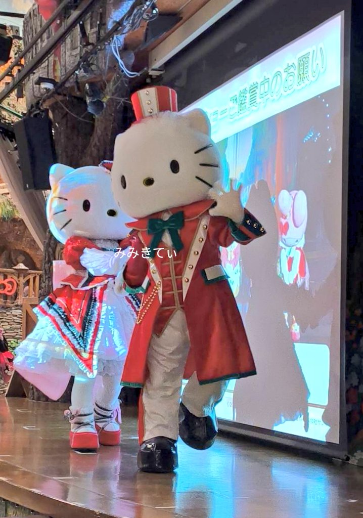 みみきてぃ (@mimi33kitty) / Posts / X