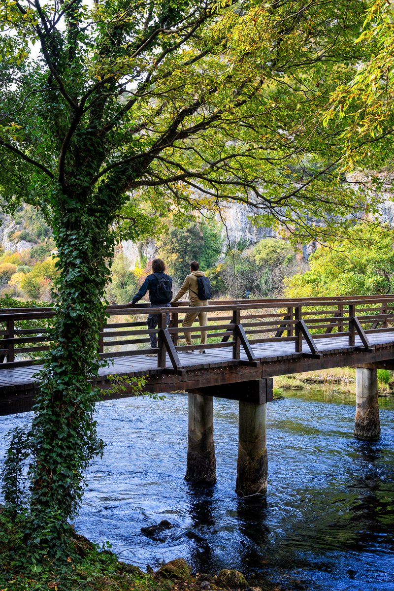 NPKrka's tweet photo. Holiday opening hours of @NPKrka: 
Dec 24 &amp; 31: open until 12:00 
Dec 25–26: CLOSED 
Jan 1: only Lozovac entrance open 
All other December &amp; January days: 9:00–16:00 
Enjoy the winter magic of #NPKrka! https://t.co/XPtC1709ER