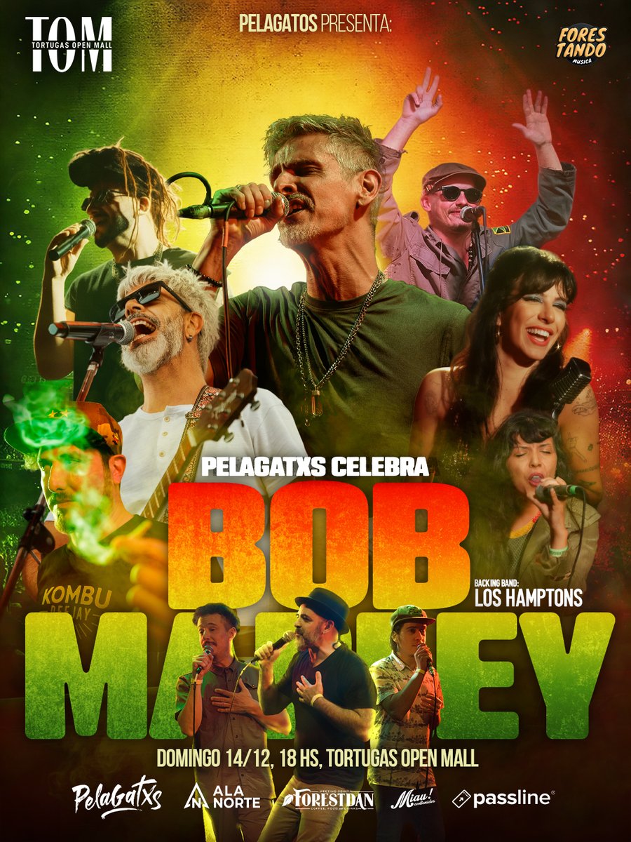 PelaGatos Reggae tweet media