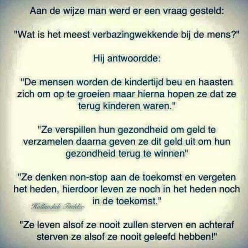 Wim den Oudsten (@wimdenoudsten) on Twitter photo 