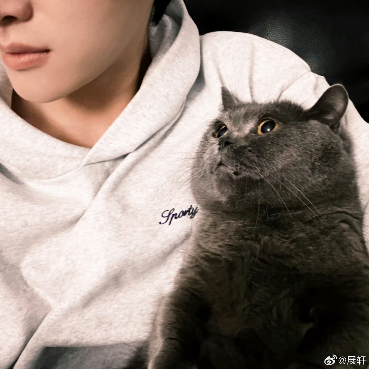 zx's kitten 😆😆