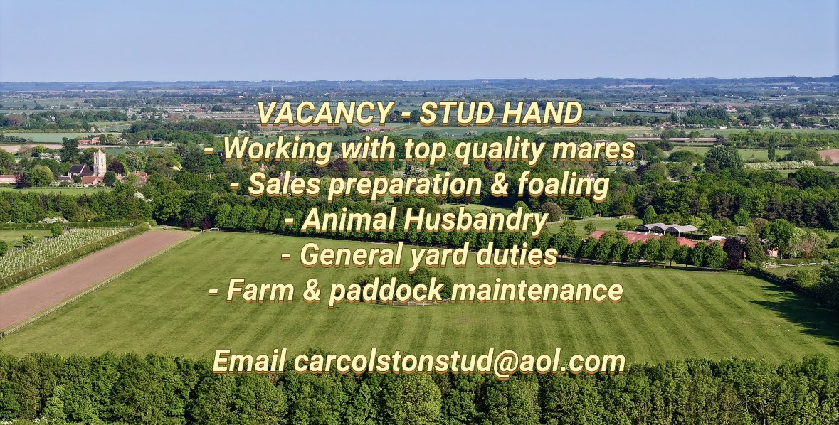 Car Colston Hall Stud tweet media