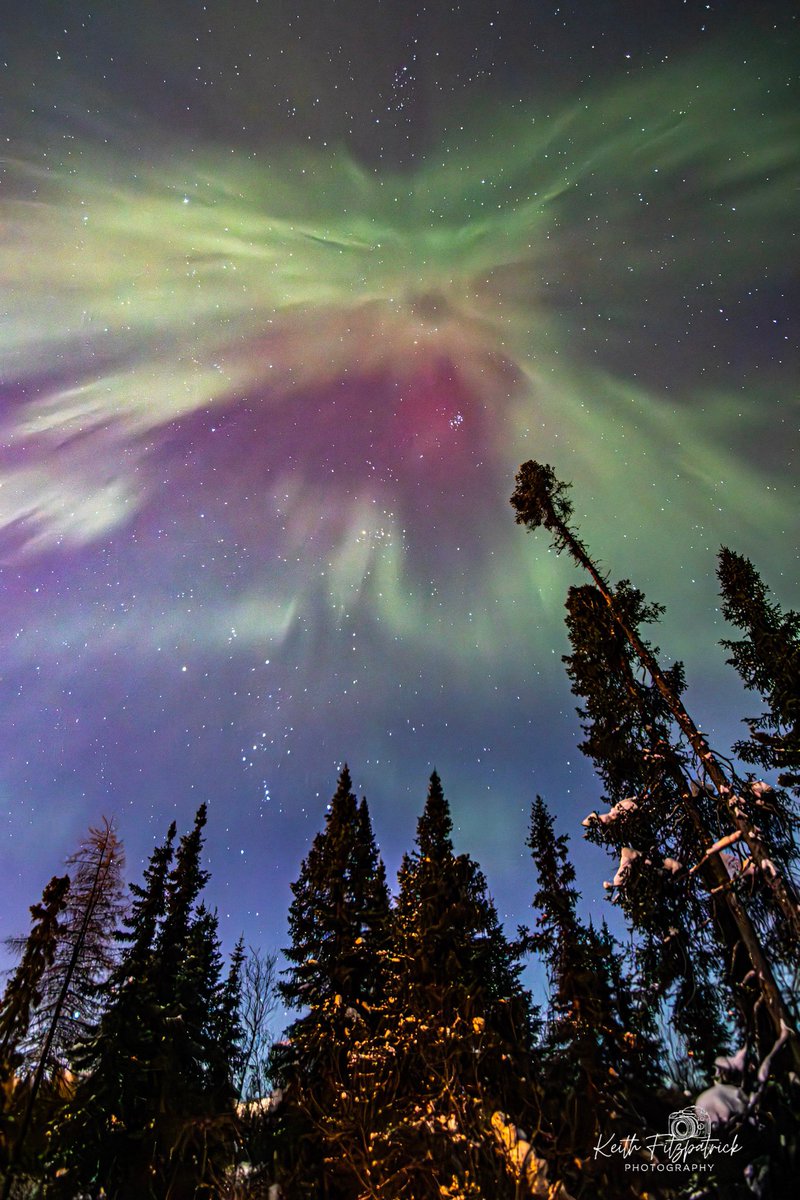 KeithFitz81's tweet photo. Dec 10th 2025 - My third trip out into the cold and it started right above my house. And the on the trail. @MurphTWN @EddieSheerr #nlwx #nlastro #northernlights #Auroraborealis #aurora #AuroraPhotography #ShareYourWeather #nature #spacewx #canon90D #labrador #spaceweather https://t.co/qxXh7yVLn7