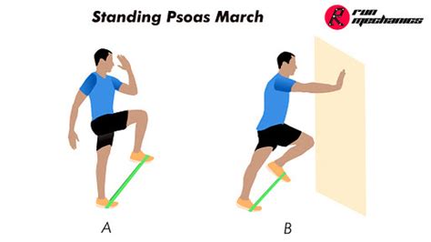 questmoosa's tweet image. One of the absolute BEST things you can do today is strengthen (NOT stretch) your psoas muscle

Most of the population has tremendous weakness in this muscle and here's why 

You sit for 8-9 hours a day -&amp;gt; psoas weakens

You wear heeled shoes -&amp;gt; psoas weakens

Psoas weakens -&amp;gt;…