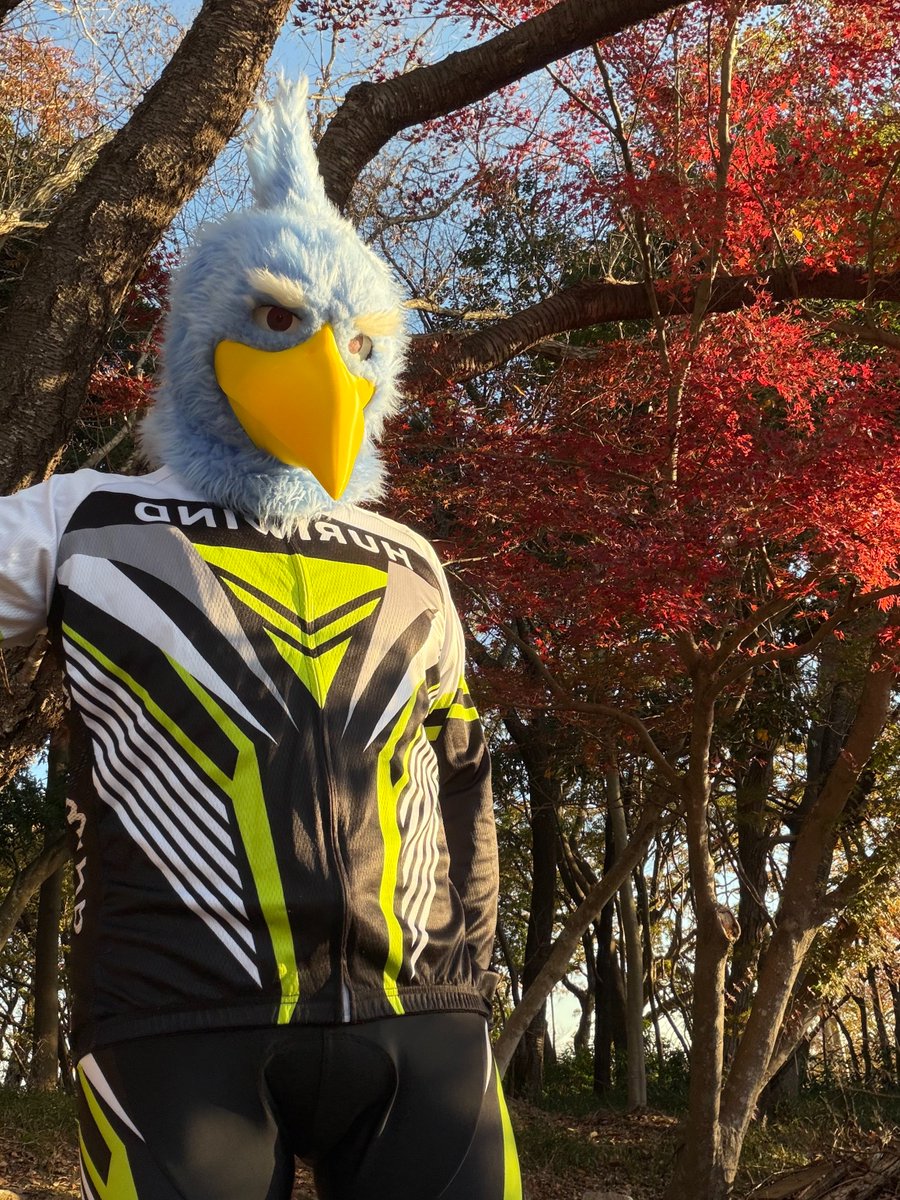 こうじ。 (@ModokiKouji) on X