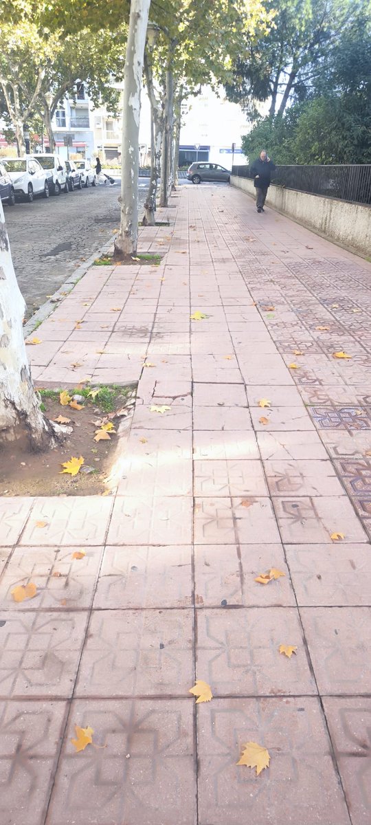 Calle de El Castaño, trampa para peatones, esta mañana caída de una persona <a href="/ayuncordoba_es/">Ayuntamiento Córdoba</a> <a href="/MRuizMadruga/">Miguel Ruiz Madruga</a> <a href="/jmbellidoroche/">José Maria Bellido</a>
