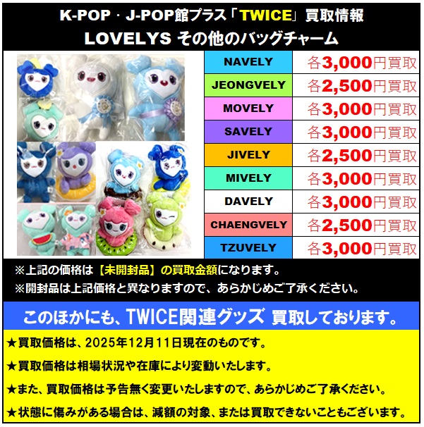 TWICE #TWICE_THISISFOR_WORLD_TOUR TWICE ラブリー &チョンサ グッズ