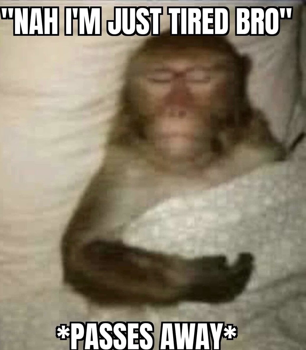 MonkeyHaterLeader (@monkey55901km) on Twitter photo 