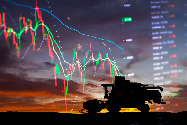 Nasze rolnictwo stoi przed tymi samymi wyzwaniami co reszta gospodarki. Co prawda dodatnie saldo w handlu rolno-spożywczym w Polsce po trzech kwartałach 2025 r. wyniosło 61,3 mld zł, czyli o 2,8 mld zł więcej niż rok wcześniej, ale są obawy o trwałość tego wyniku.
„Dotychczasowe