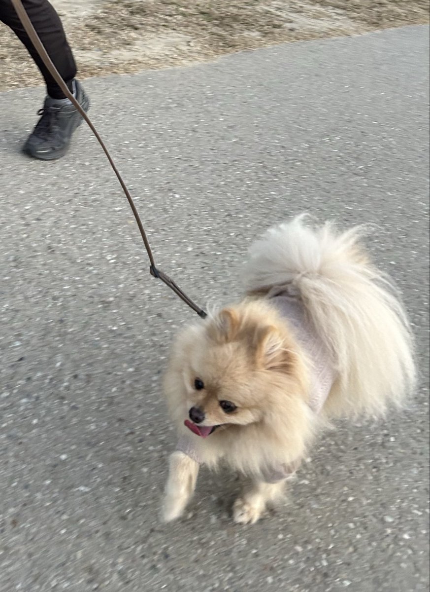 ぷりぷり〜🍑 ルンルンなボク🎵