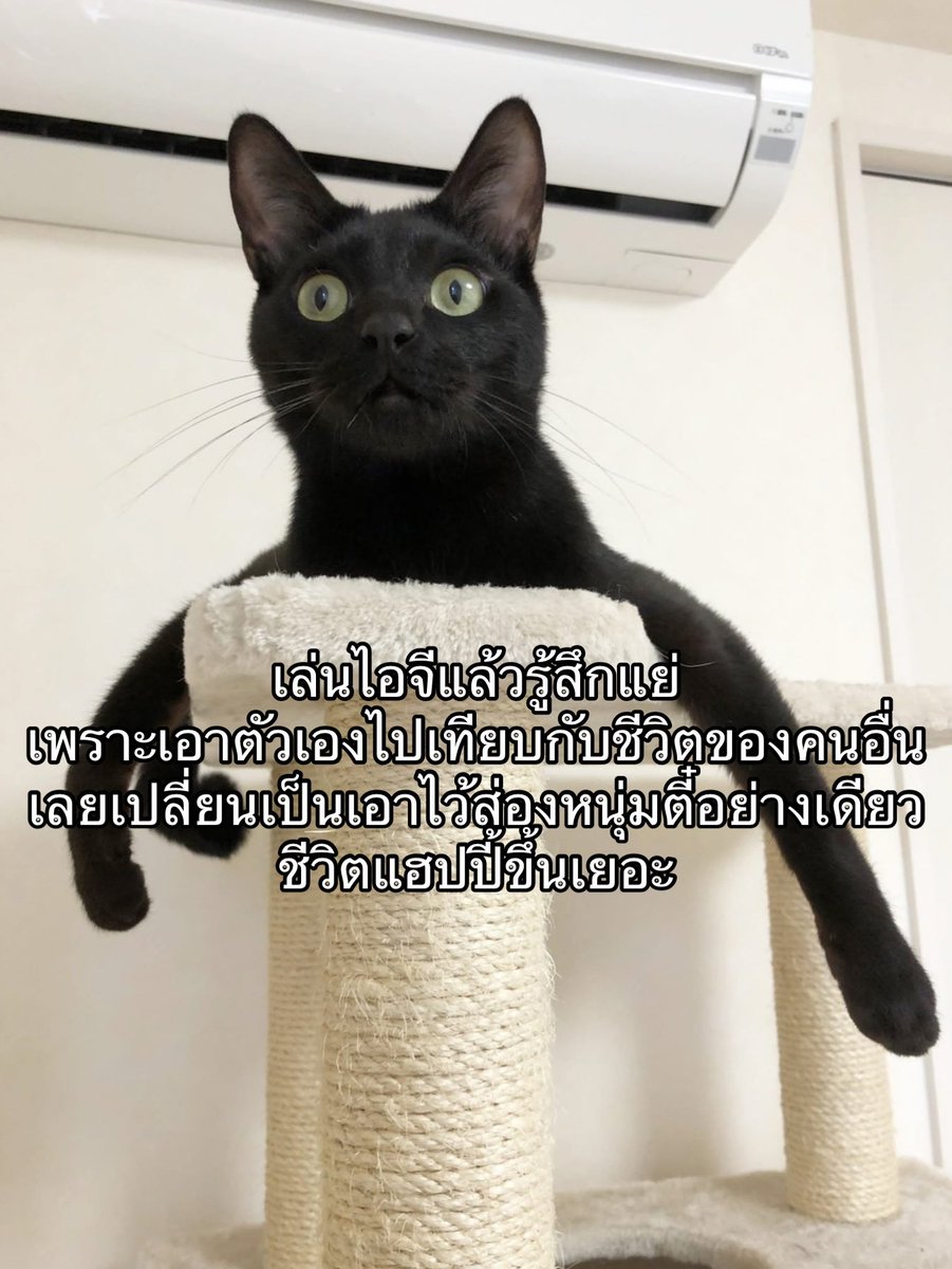 ใครสักคนกล่าวไว้ tweet media