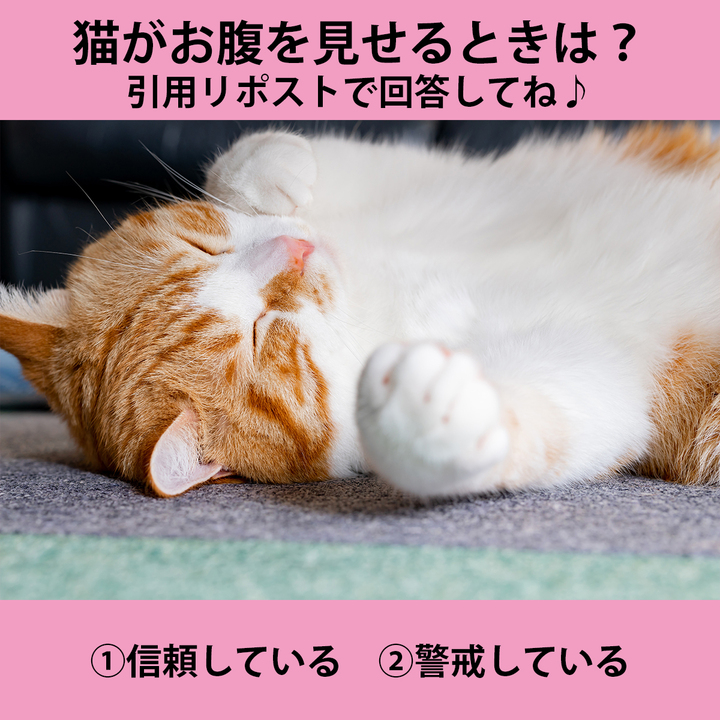 Post by H♡Y まま on X: 1️⃣