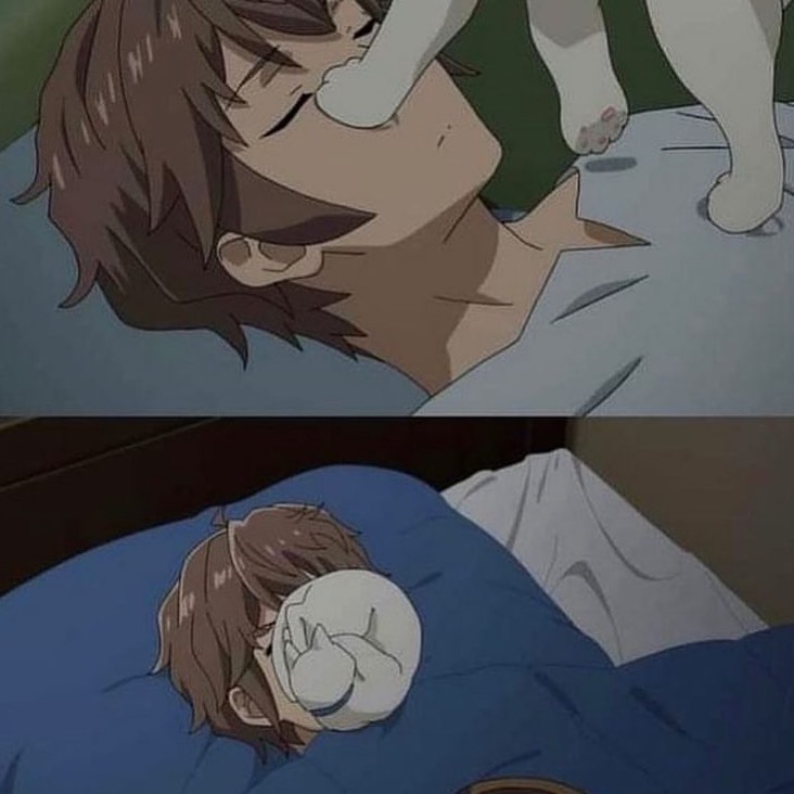 PunchingCat's tweet image. 