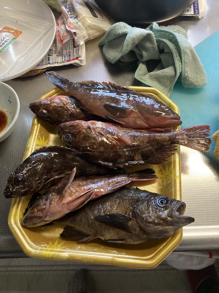 kuniajituri's tweet photo. 久しぶりに釣り🤨 https://t.co/RpZQQ5JOuX