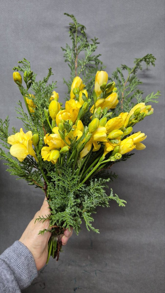 타임세일) 어느덧 주말🥰 이번주 꽃들 모아봤어요💐 크리스마스 분위기 물씬 나는 은장미✨️🎄 은장미는 생화에 색을 입힌 꽃이랍니다. 향이 그윽한 비단향꽃무💕💜 산뜻한 프리지아에도 편백 넣어 크리스마스 느낌 들죠💛 한다발 12,000원, 가벼운 주말 선물로도 좋아요😉 mkt.shopping.naver.com/link/68461a04e…