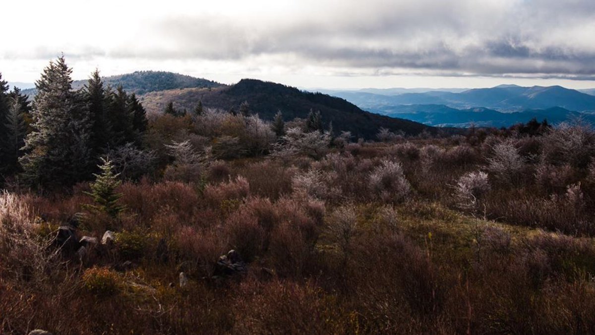 Southwest Virginia tweet media