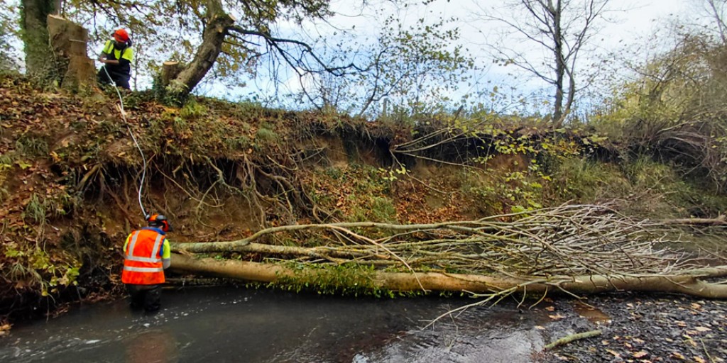 SE_Rivers_Trust's tweet image. Let the river lead 💧

On the River Teise in #Kent, placed tree trunks are already shaping flows, cleaning gravels &amp;amp; creating riffles and pools for young fish to meet and rest.
Nature-based restoration with immediate impact 🌿

#RiverRestoration