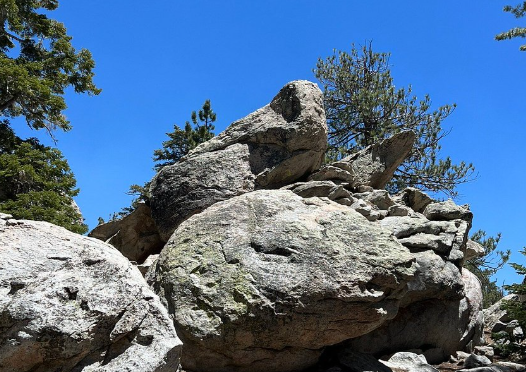 sdtmanager's tweet image. Unbeatable experience on the San Jacinto tram and mountain…