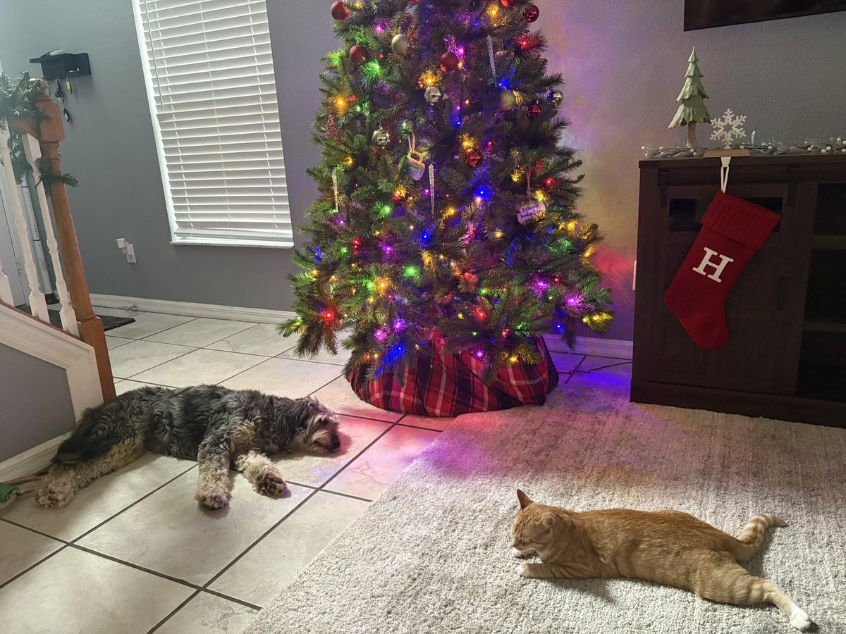 Hanna 💗✨🫶🏻🧩🩵 tweet media