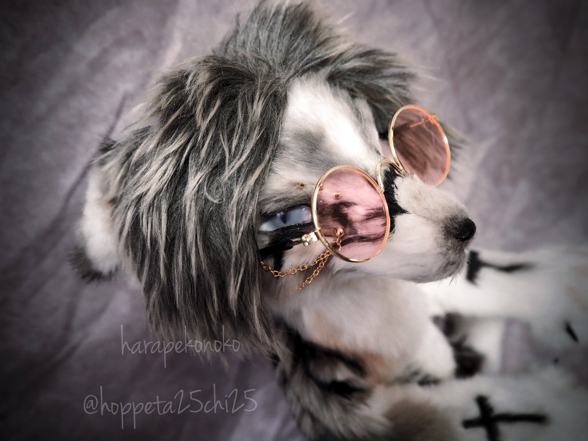 ハラペコ (@hoppeta25chi25) / Posts and Replies / X