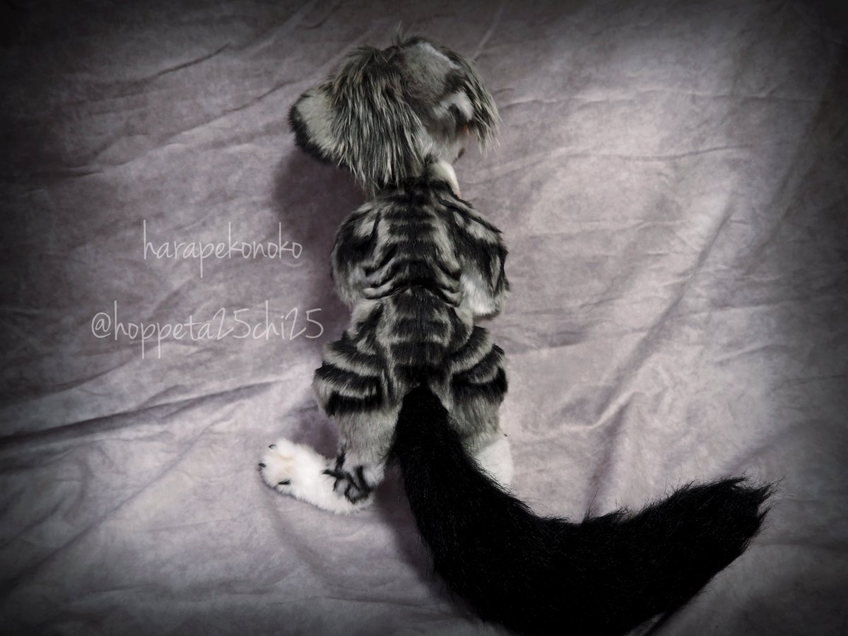 ハラペコ様 すくうコ 【アートドール】 ハラペコ様 すくうコ 【アートドール】 - メルカリ