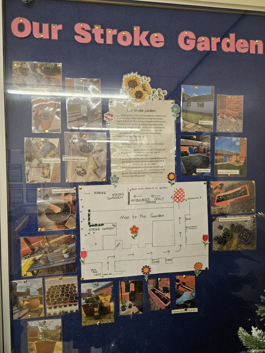 Tracy Shaw tweet media