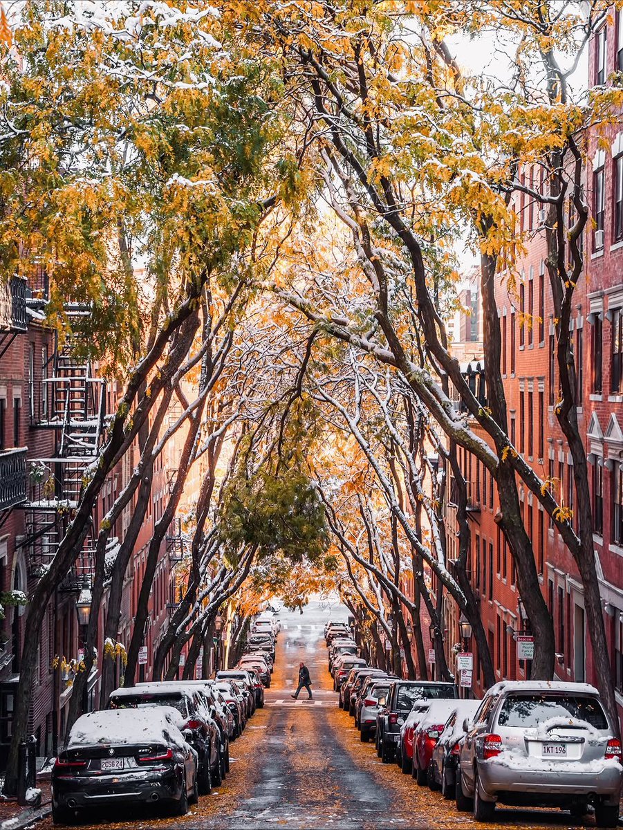 visualtherapy0's tweet image. Boston, Massachusetts