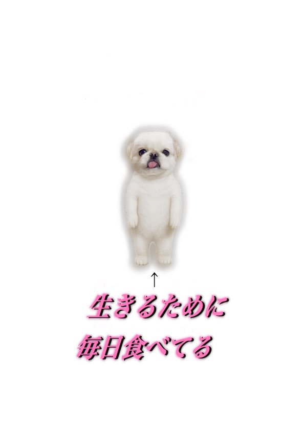 まろた (@marota37) / Posts / X まろた (@marota37) / Posts / X