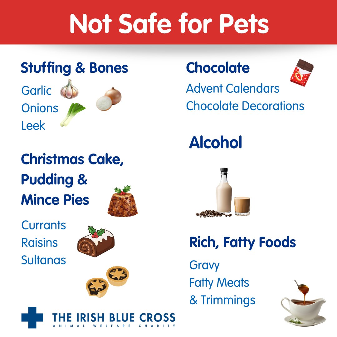 The Irish Blue Cross tweet media