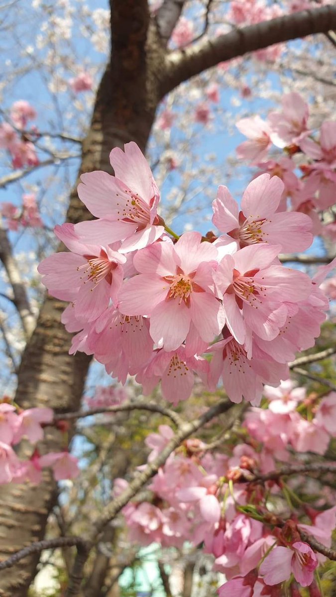 Vanessa Natali (@_natalifranco_) on Twitter photo 