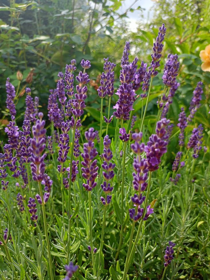 Vanessa Natali (@_natalifranco_) on Twitter photo 