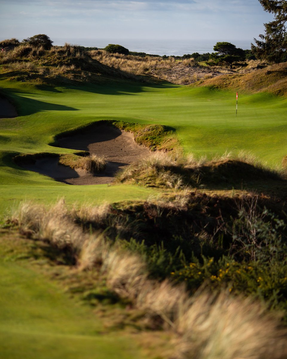 Bill Coore: Changing the world
The legendary architect, responsible for designs at Sand Hills, Bandon Dunes, Cabot Saint Lucia, among many others, had an all-encompassing conversation with Adam Lawrence: golfcoursearchitecture.net/content/bill-c…