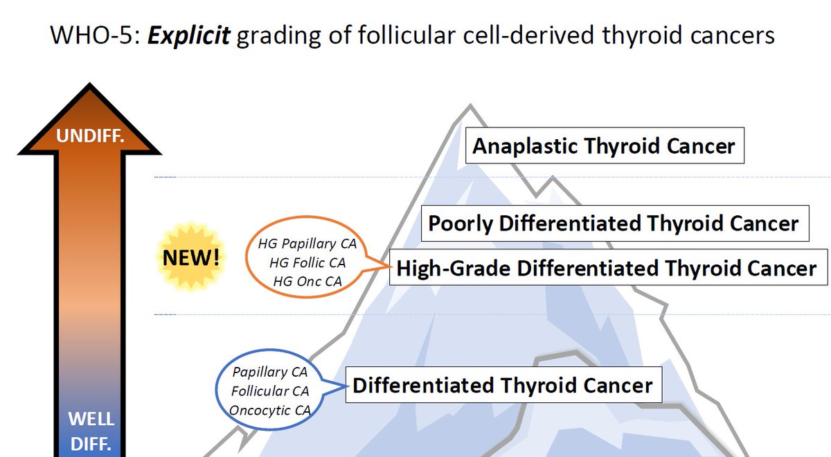 Janira Navarro tweet media