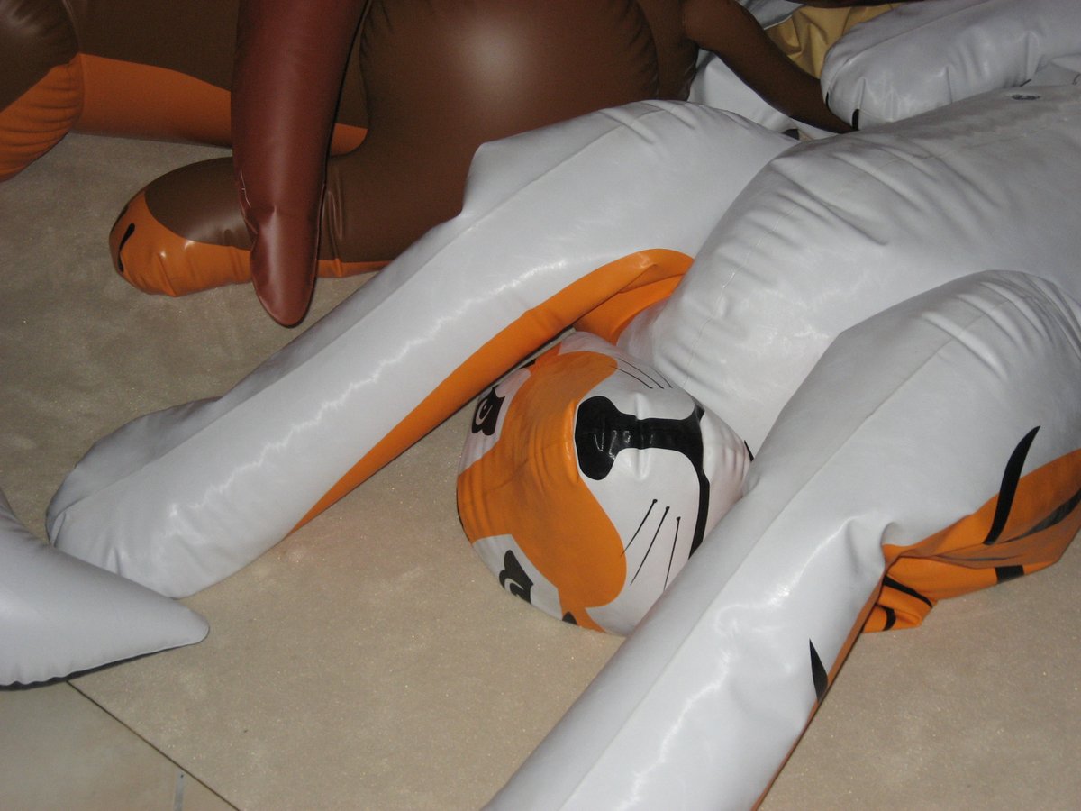 SchorseWolf tweet media