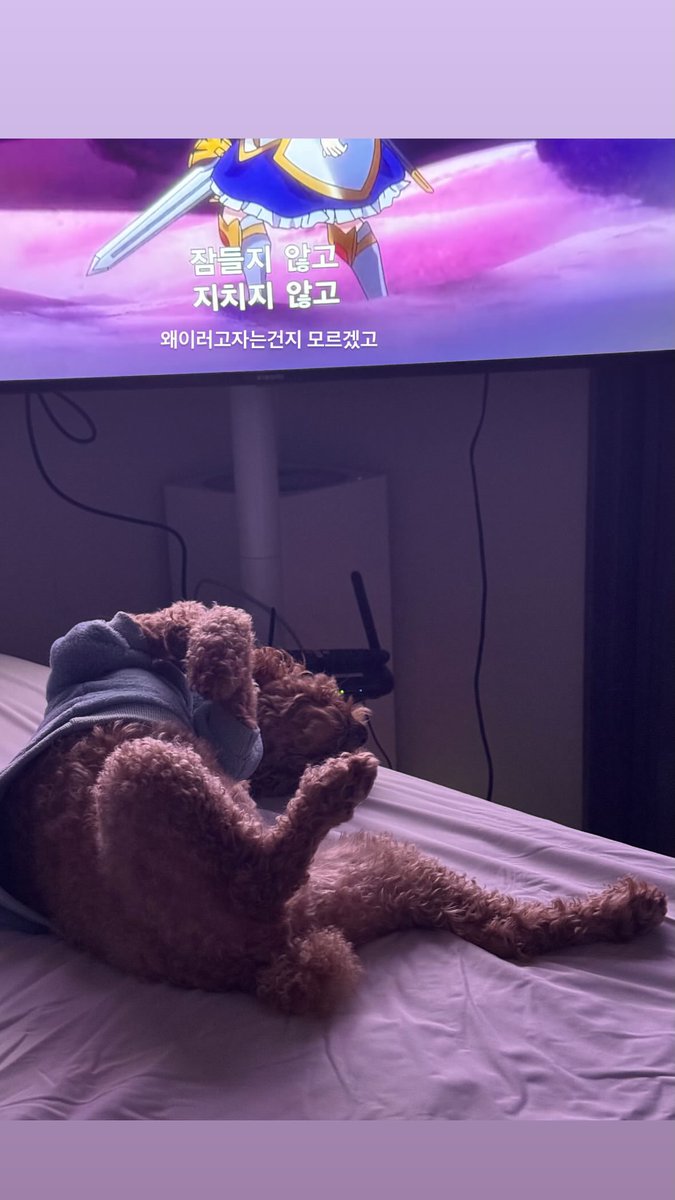 251211 #햄_스토리 #아카이민 🐾