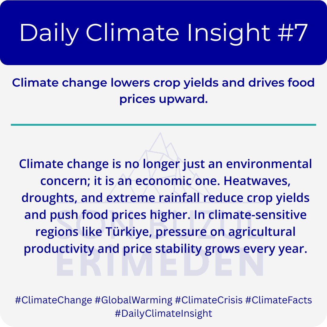Levent Kurnaz tweet media