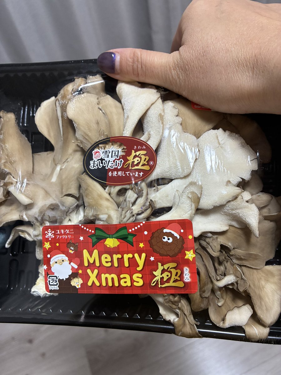 関口かんこ (@pkb5648) / Posts / X