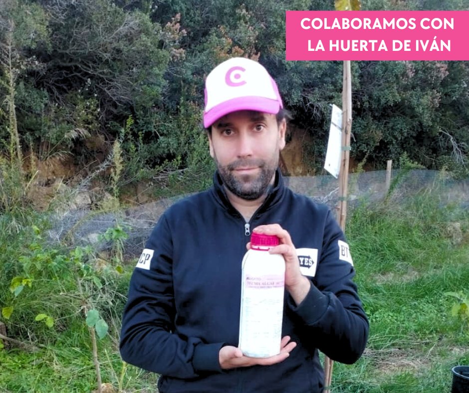 𝐍𝐔𝐄𝐕𝐀 𝐂𝐎𝐋𝐀𝐁𝐎𝐑𝐀𝐂𝐈Ó𝐍 𝐂𝐎𝐍 <a href="/HuertadeIvan/">La Huerta de Iván</a>
TECMA ALGAE ACTIVE PRO ayuda a que tus plantas superen el estrés del trasplante y se desarrollen con mayor vigor.
satecma.es/producto/tecma…
Video en YouTube 👉youtu.be/c4ZVFucIqCg?si…🚀