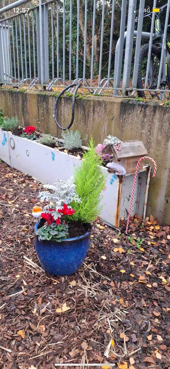 HartstownCS's tweet photo. Our students have been busy making their vegetable garden festive for the Christmas season. https://t.co/8sCngCFPW5