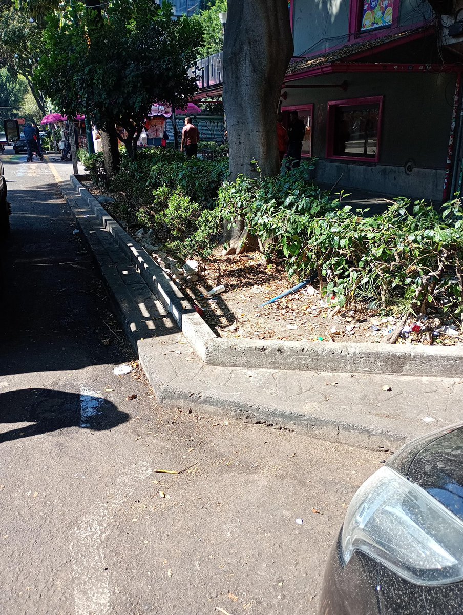 Alessandra Rojo de la Vega tweet media