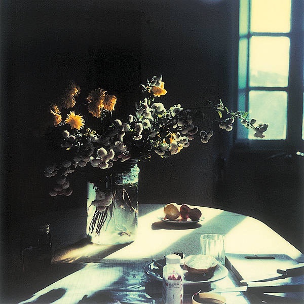 locusdeperditus's tweet image. Instant Light - Tarkovsky Polaroids
And they're accompanied by beautiful excerpts from his diaries 
transfer.it/t/TwNgvM9hjZYI